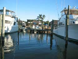Boats anchored in marina
