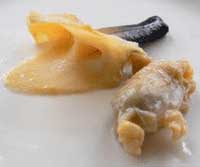 Clam belly