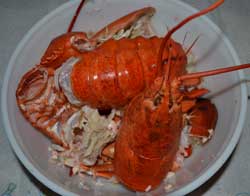 Lobster carcass in bowl