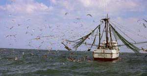 shrimp boat on water