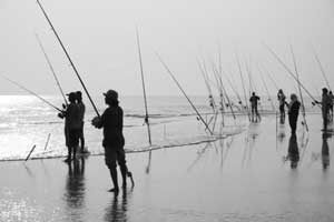 Beach Anglers