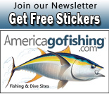 join our newsletter and get free stickers