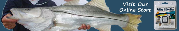 man holding snook fish