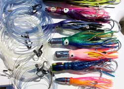 Knot Tying & Bait Rigging Knot Tying & Bait Rigging