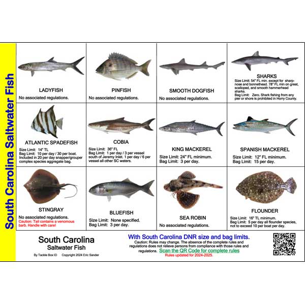 Fishing Regulations Mini Card - South Carolina - Click Image to Close