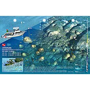 Key West Western Sambo