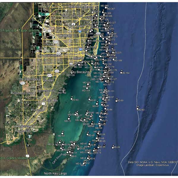 Miami-Dade County Memory Card